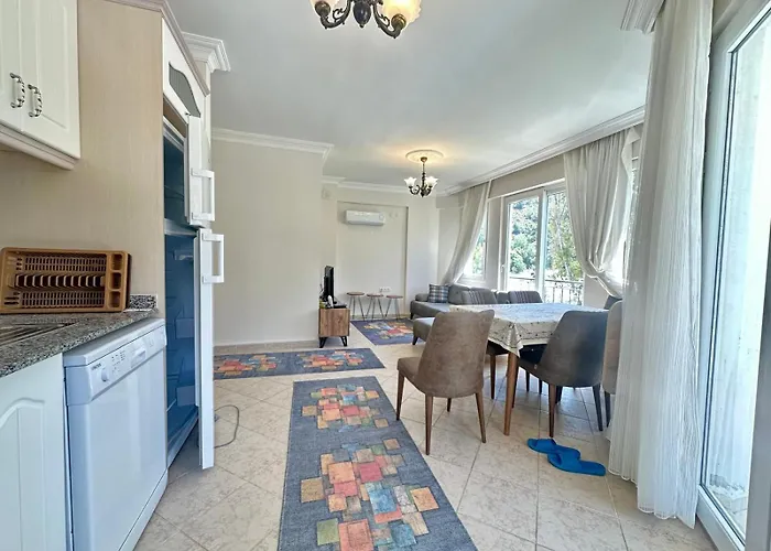 아파트 Nebioglu 페티예